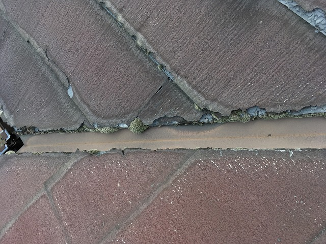 パミールの谷板金付近を確認